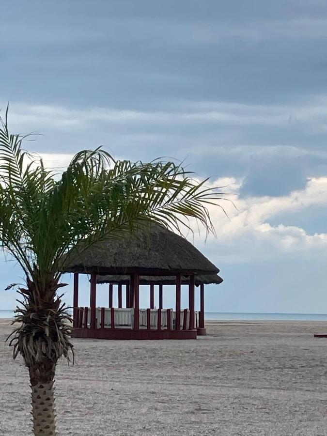 Appartement Lira Beach Studio à Mamaia Extérieur photo